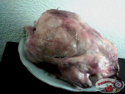 ������ � �����,������� � ����������.