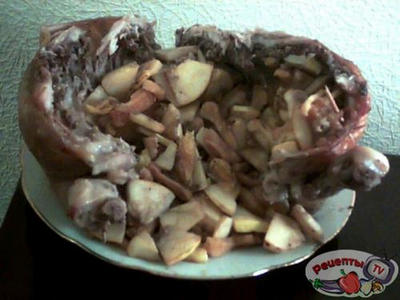 ������ � �����,������� � ����������.