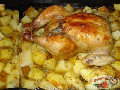 ������ � ���������