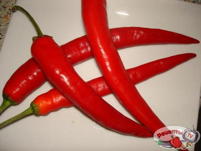 ������ � �������� � �������