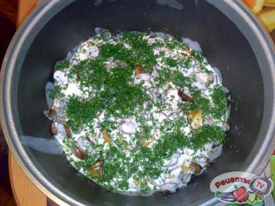 ������ � ������������