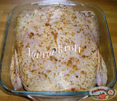 ������ ����������