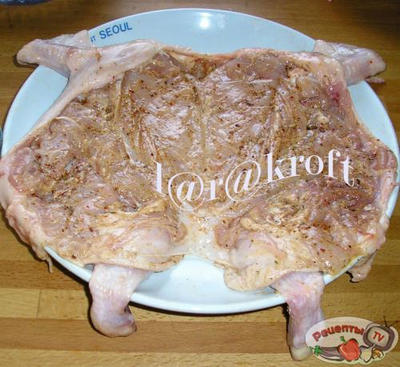 ������ ����������