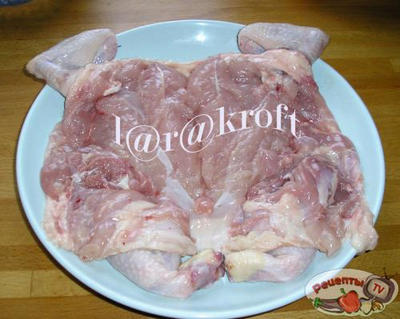 ������ ����������