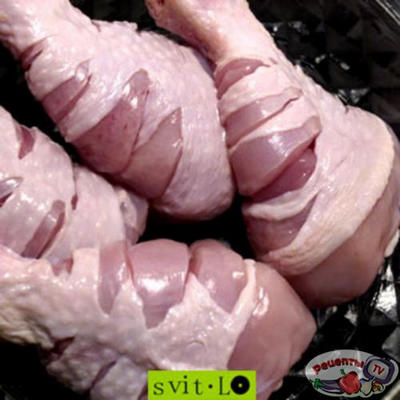 ������� ����� � ��������