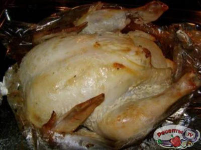 ������� � ��������