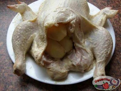 ������� � ��������