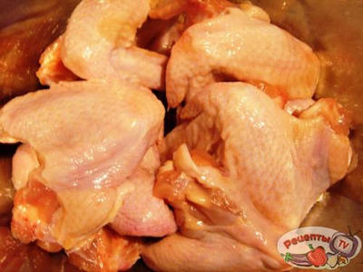 ������� � ��������