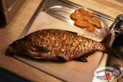 ��� ��������� / ���� ���������