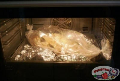 ��� ��������� / ���� ���������