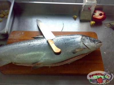 ������ ���������� ���������� � �������� � ��������