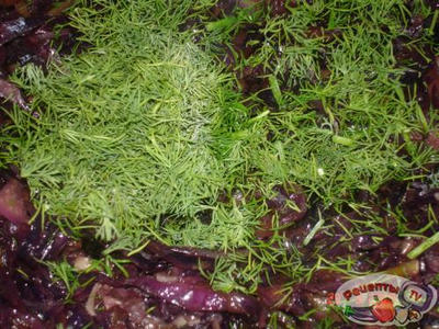 ��������� ������ ����� � �������� ��� ����