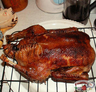 �������� � �����������