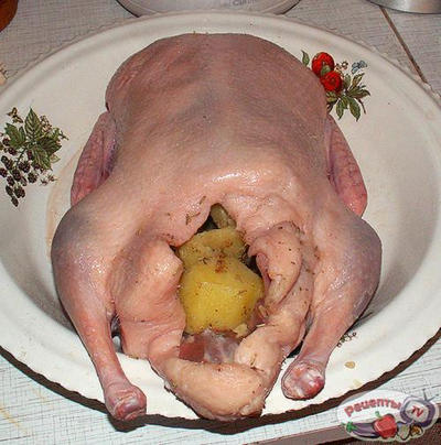 �������� � �����������