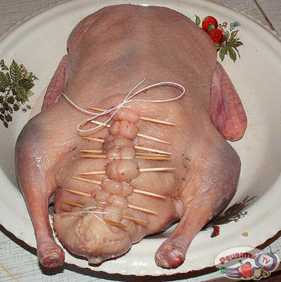 �������� � �����������