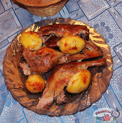 �������� � �����������