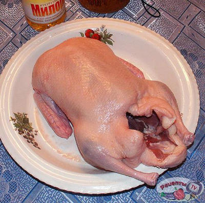 �������� � �����������