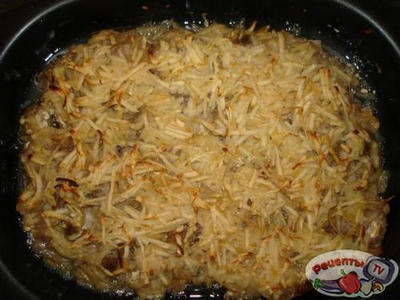 ����� ��� �������� �����