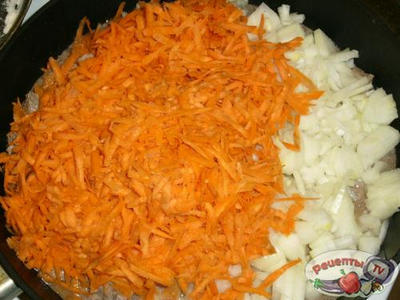 ������ ��������