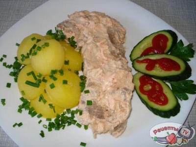 ���� ��-���������