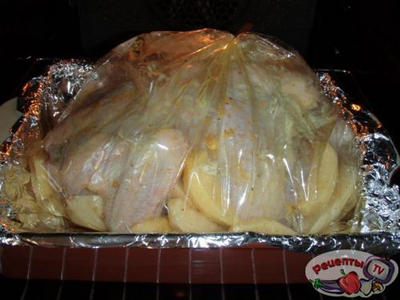 ������ ������� ���������� � ������