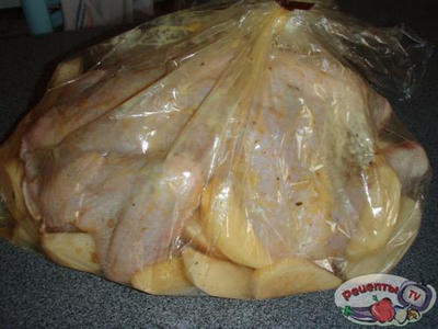 ������ ������� ���������� � ������