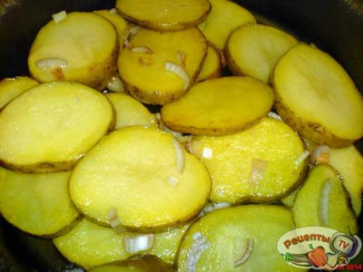 ����� �������! ��������� � �������