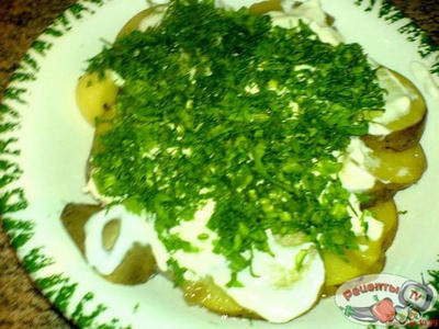 ����� �������! ��������� � �������