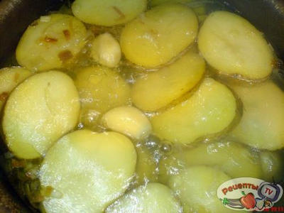 ����� �������! ��������� � �������