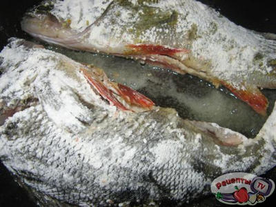 ����� � ��������� �����