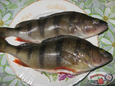 ����� � ��������� �����