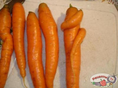 ������� ���� �� ���������� ������� � ���������