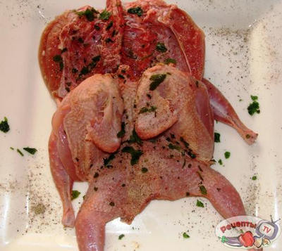 �������� ��� ������