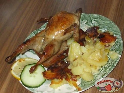 �������� �������