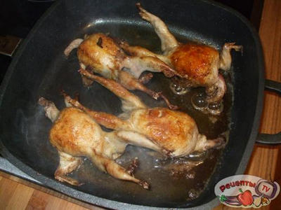 �������� �������