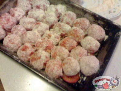 ������ ����