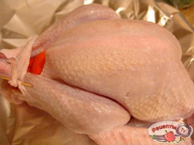 ������� � ����������� � ��������