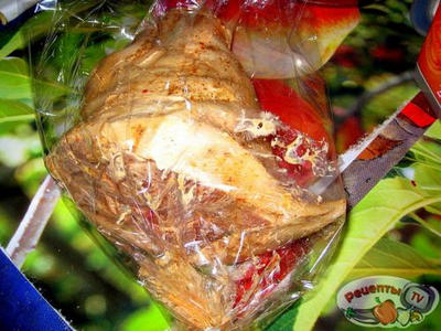 �������(�������)