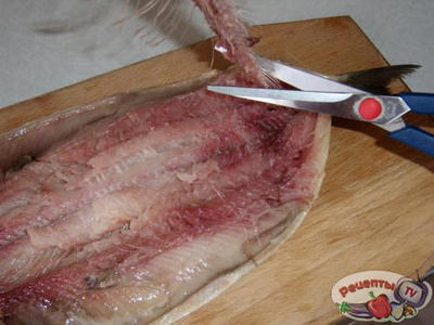 ������� ������