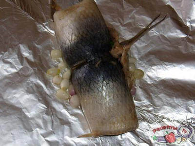 ������� ������