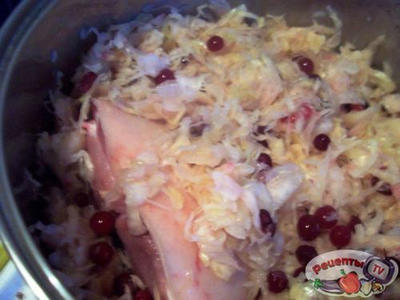 ������ �������� � �������� ��������