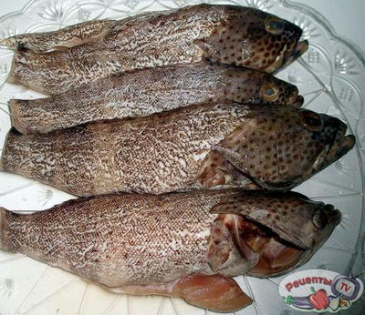 ���� � ���������� ����� � ��������� ��������� � �������