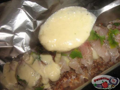 ���� ���������� � ��������