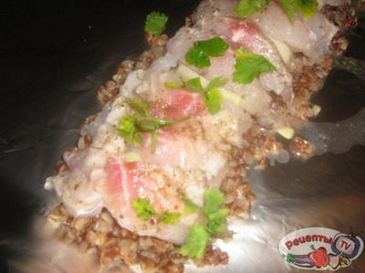 ���� ���������� � ��������