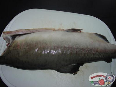 ����, ���������� � ��o���� � �������.