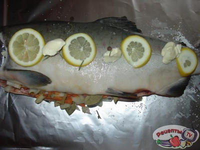 ����, ���������� � ��o���� � �������.