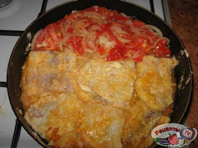 ����, ���������� � ���������� � �����