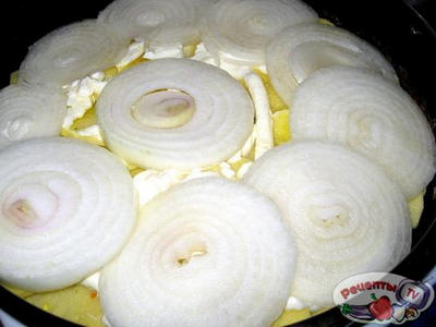 ������ ��������� �� ������������� �����