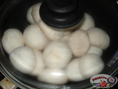 ���������� � �������� �� ������������� ����