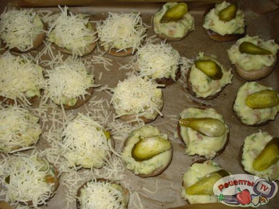 ���������� � �������� �� ������������� ����